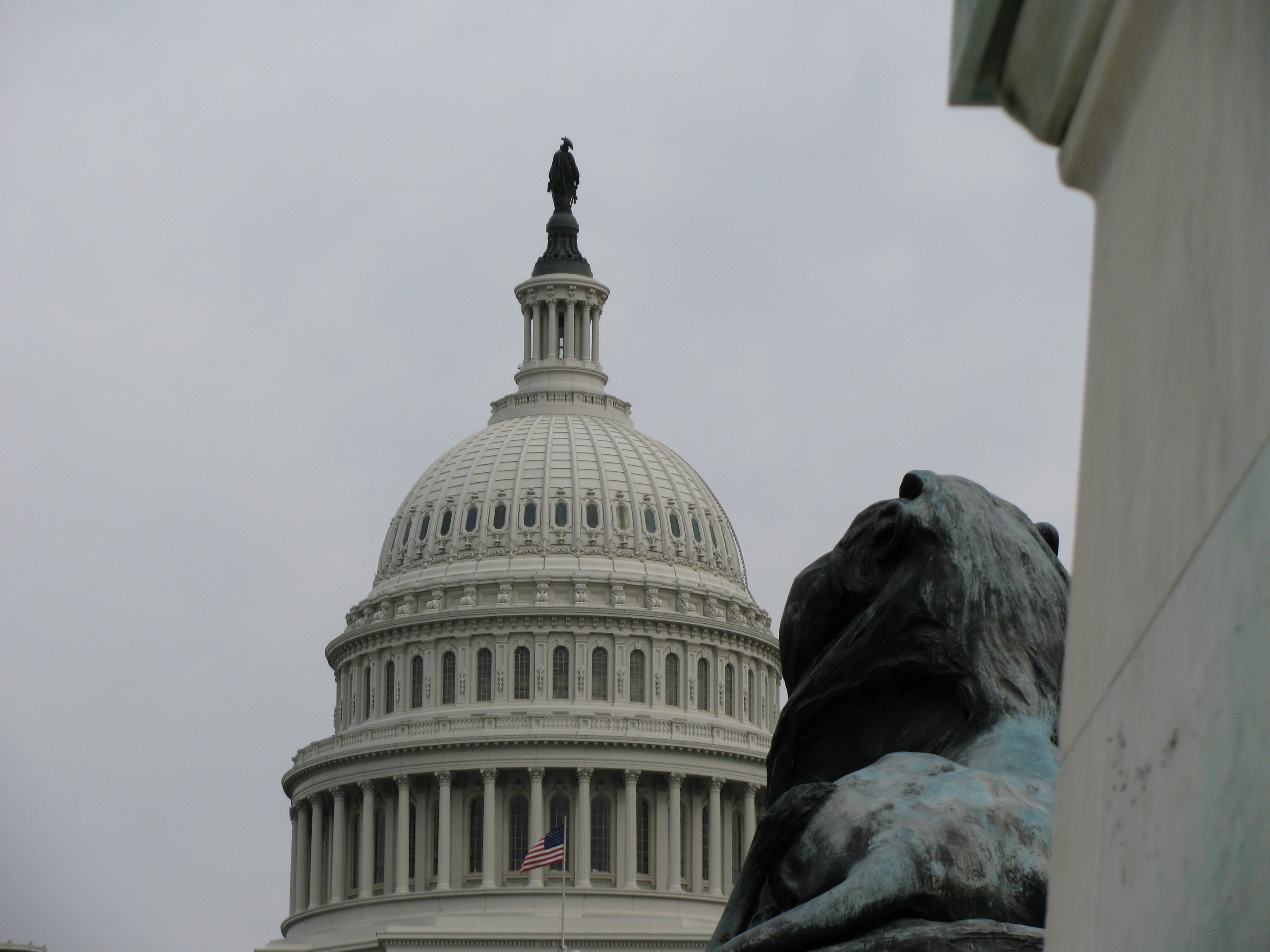 Photo of the U.S. Capitol dome, a U.S. flag, and the statute of a lion