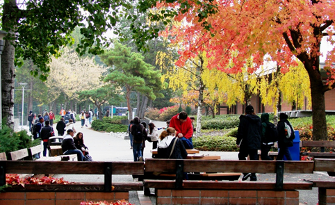 Photo of students outside at Shoreline Community College