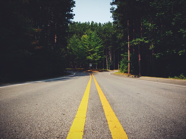 Picture of an empty road that divides into two sections.