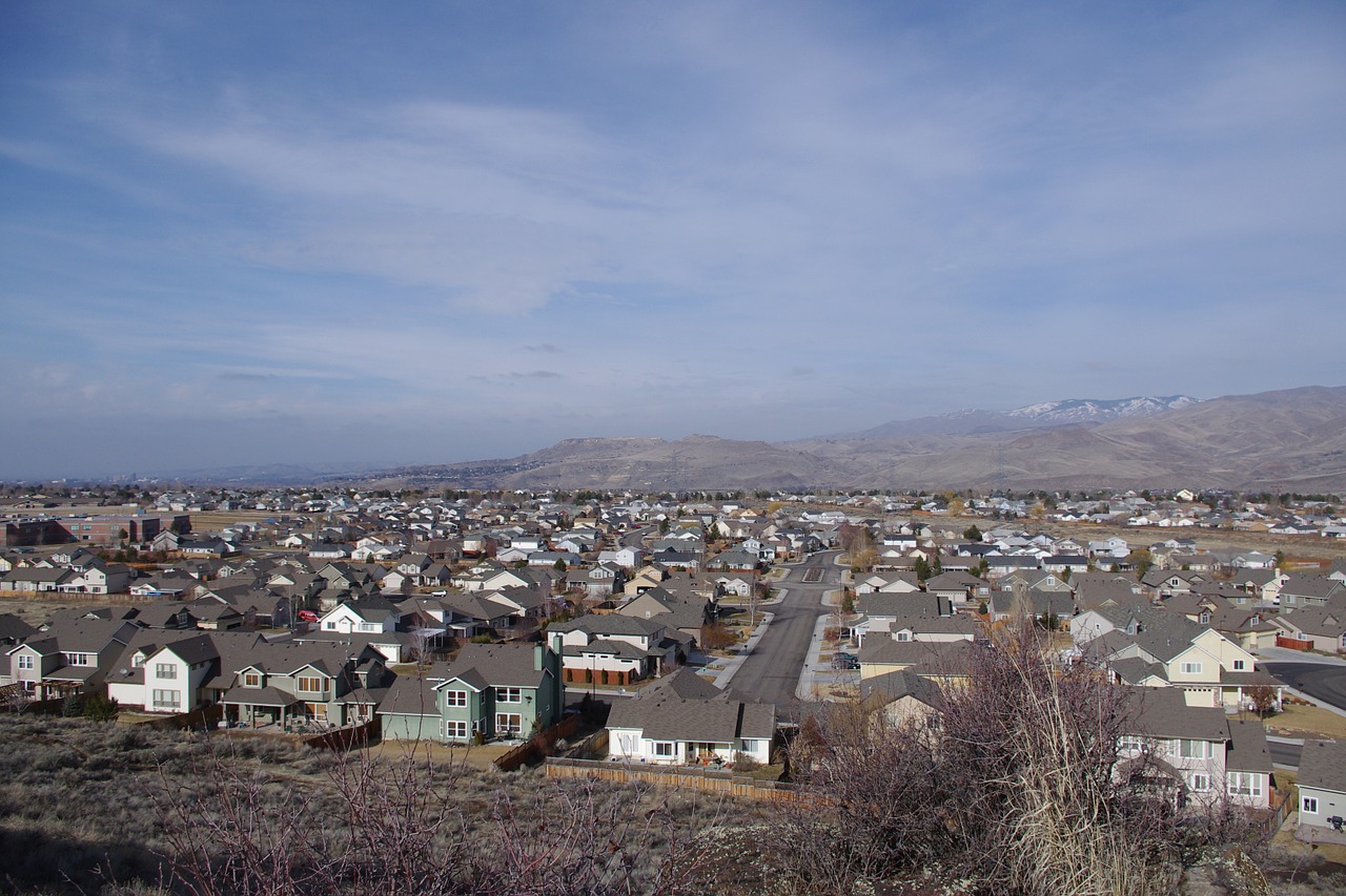A subsdivision with many homes