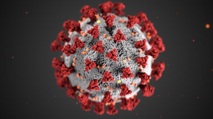 The coronavirus close up