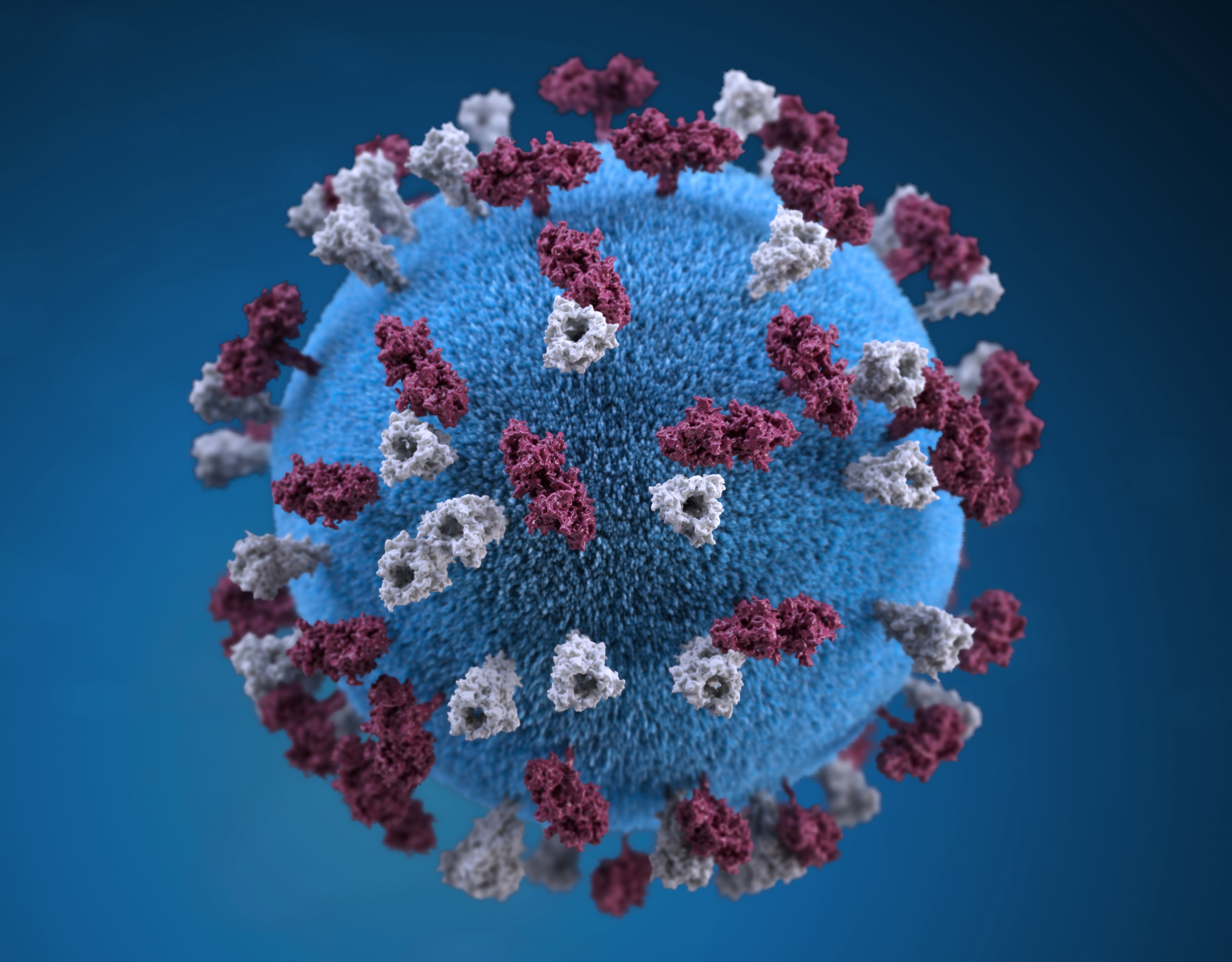 image of a virus