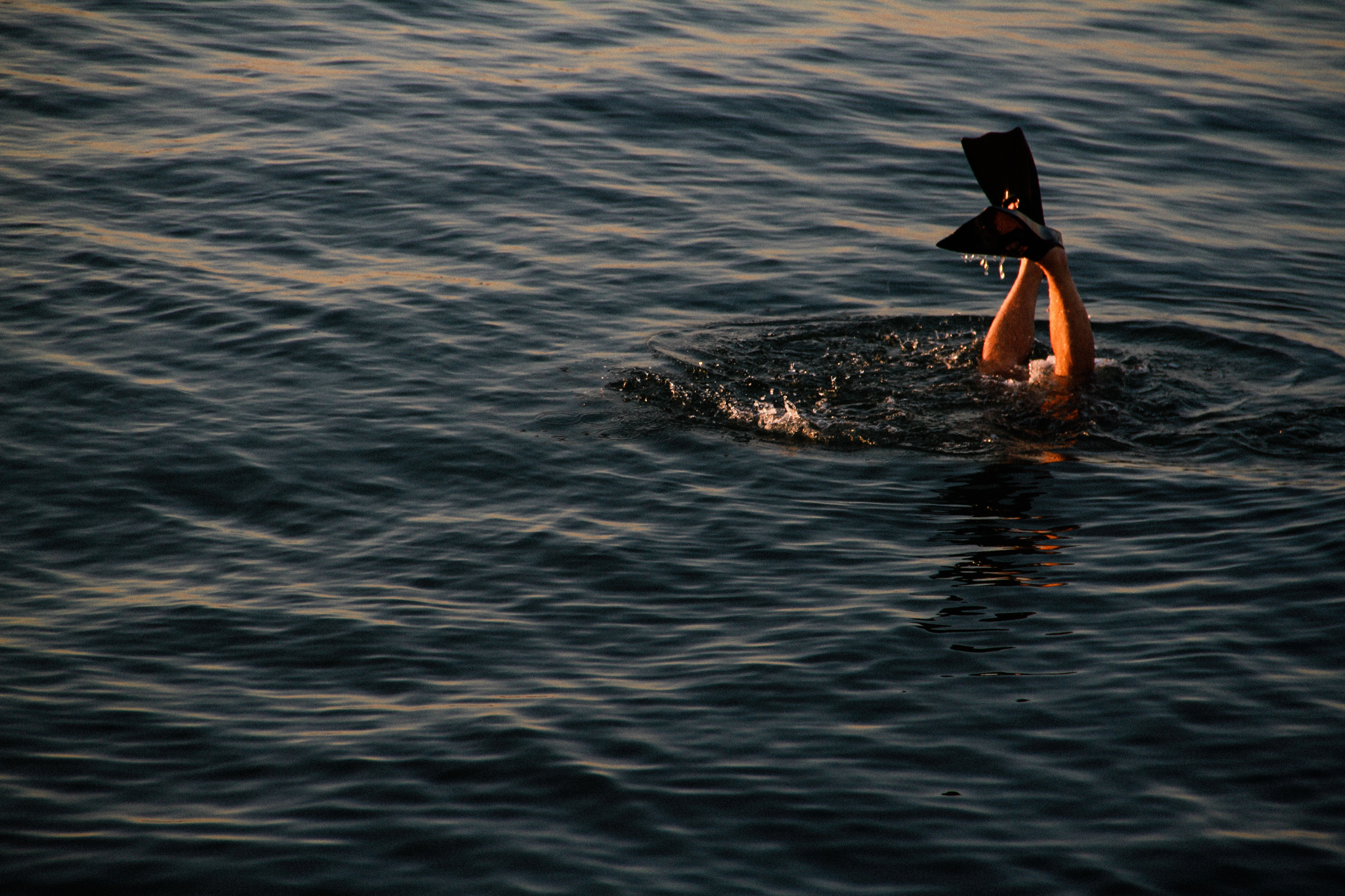 a person diving into water 