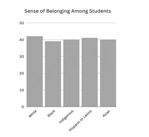 Chart highlighting sense of belonging amoung students, with white students having a slightly higher sense than other racial groups.