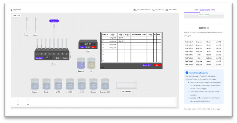 Screen shot of the online lab notebook and workbench