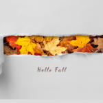 a ripped piece of paper showing leaves with the words hello fall