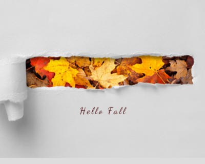 a ripped piece of paper showing leaves with the words hello fall